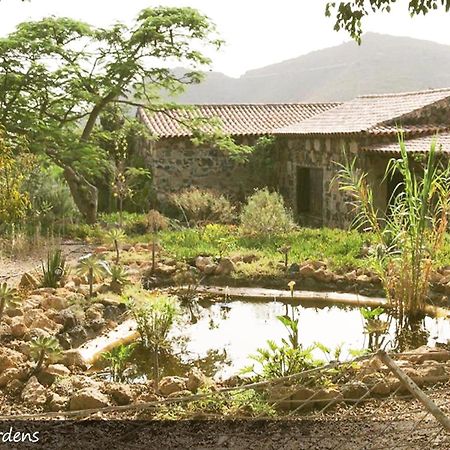 Live Finca San Miguel San Miguel de Abona Exteriér fotografie
