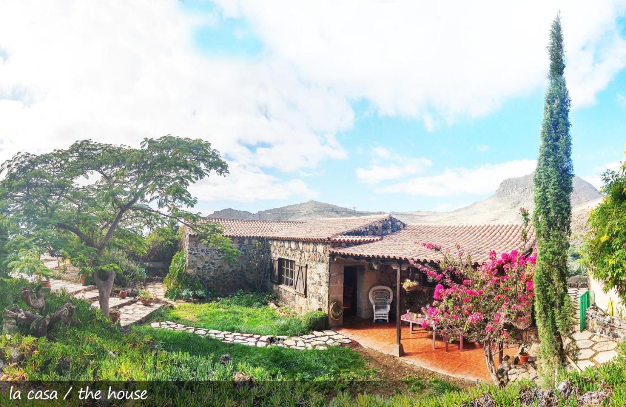 Live Finca San Miguel San Miguel de Abona Exteriér fotografie